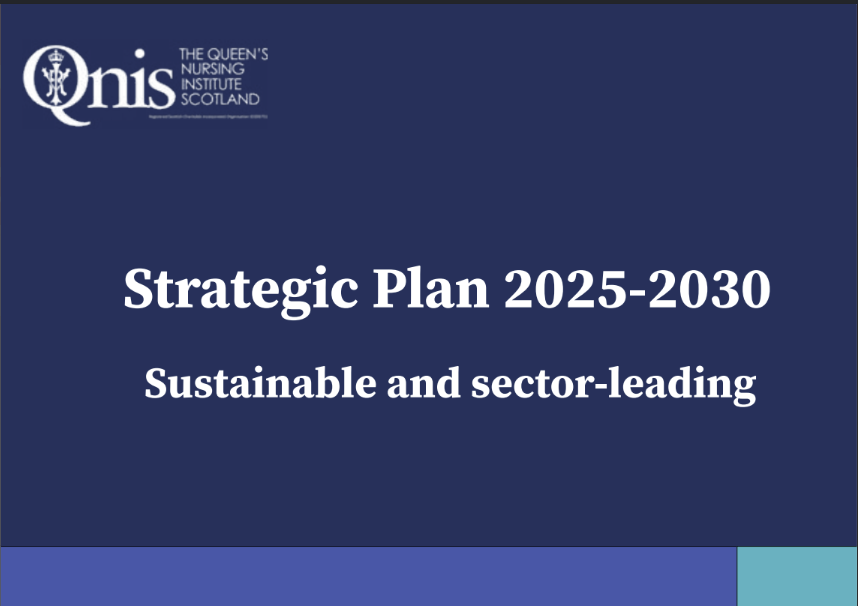 White text on a dark blue background Strategic Plan 2025–2030 Sustainable and sector-leading. A white text QNIS logo is at top left. There is a blue and green strip along the footer