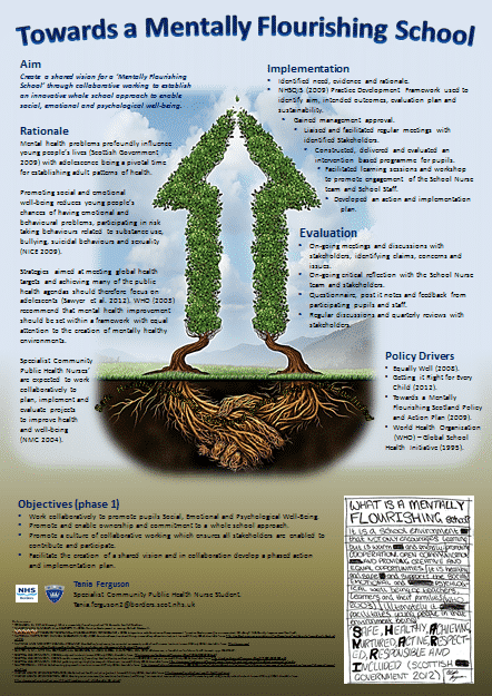 Mentally Flourishing Schools poster